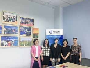 電子科技大學成電新聞網在技術咨詢與交流中的創(chuàng)新實踐
